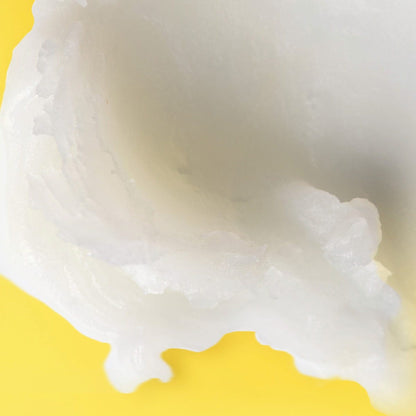 Shea + Coconut Oil Moisturizing Lip Balm - US 3462
