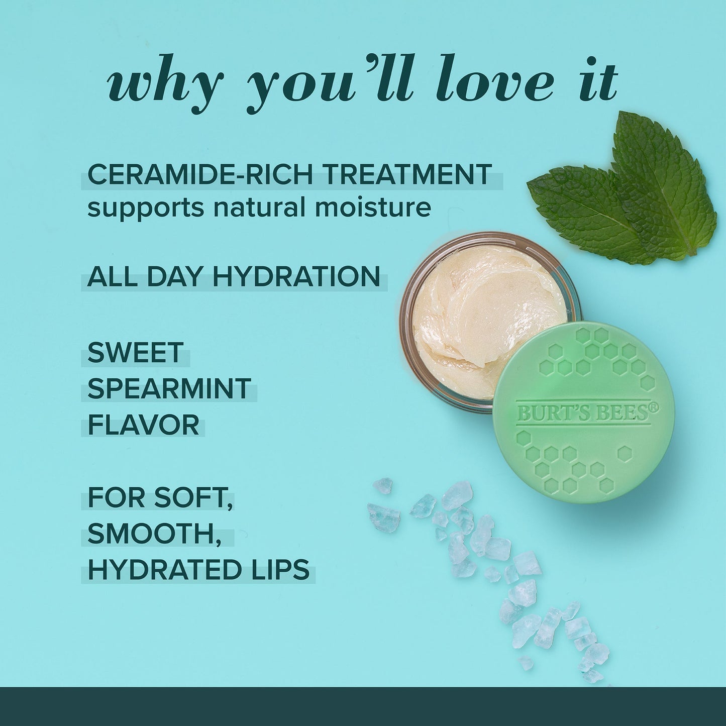 Sweet Mint Lip Treatment with Sea Minerals - US 9624